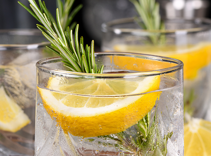 Close-up of a refreshing gin cocktail with ice cubes, a lemon slice, and a sprig of rosemary. The sparkling garnish and bright citrus notes create a fresh, elegant bar atmosphere.
